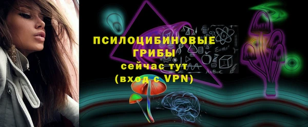 дживик Козельск