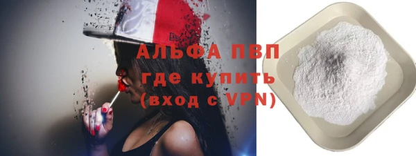 дживик Козельск