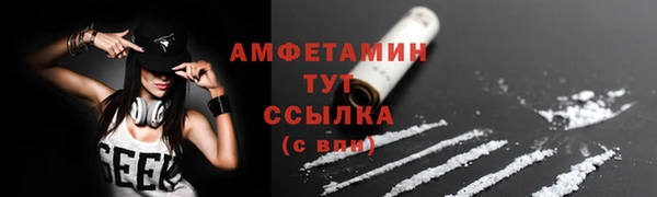 дживик Козельск