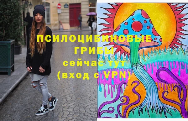 твердый Козловка