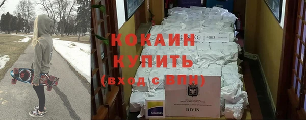 дживик Козельск