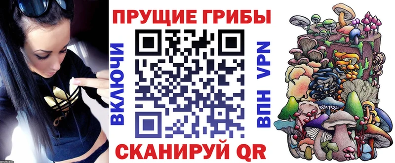 Галлюциногенные грибы Psilocybine cubensis  Сухой Лог 