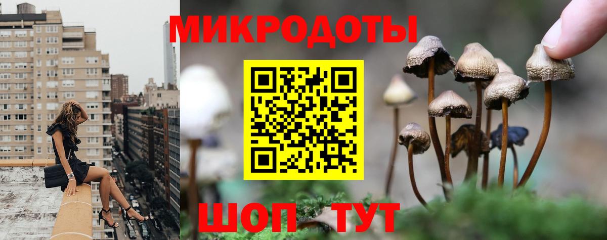 Псилоцибиновые грибы Psilocybe  Псилоцибиновые грибы Magic Shrooms  Вход с VPN  Сухой Лог 